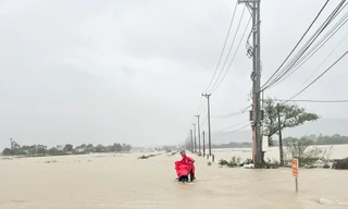 Mưa lớn kéo dài, nhiều nơi ở Bình Định ngập trong biển nước.