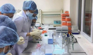 Tỉnh Bình Định tiếp tục phát hiện 4 trường hợp dương tính với SARS-CoV-2.