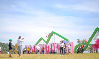  Bình Định 'hái ra tiền' nhờ du lịch 