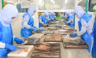 Thưởng Tết ở Bình Định: Thấp nhất 50.000 đồng