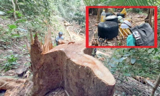 Nhóm người bỏ cơm trưa để trốn chạy khi phát hiện tổ tuần tra bảo vệ rừng