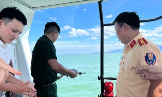 Bình Định thả cá thể đồi mồi quý hiếm nặng 1,5kg về biển