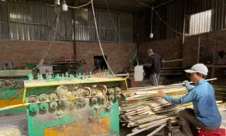 Bình Định dành hơn 6 tỷ đồng đào tạo nghề nông nghiệp cho lao động nông thôn