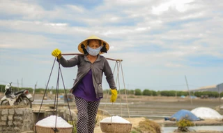 Nghề làm muối là nghề truyền thống lâu đời của người dân một số huyện của tỉnh Bình Định. Ảnh: Trương Định