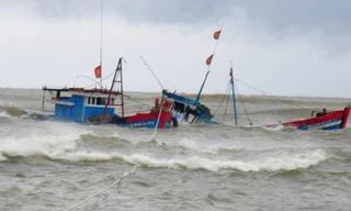 Tàu hàng đâm va với tàu cá 2 thuyền viên rơi xuống biển mất tích. Ảnh minh họa