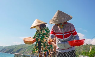 Ngư dân Bình Định hưởng 'lộc biển' cuối năm