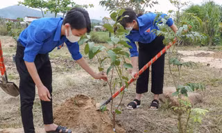 Tuổi trẻ Bình Định, Nghệ An ra quân Tháng Thanh niên năm 2022