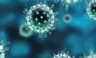 Bình Định ghi nhận thêm 1 trường hợp tử vong do cúm A/H1