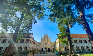 Ngắm hàng cây sao cổ thụ cùng nét đẹp cổ kính Tiểu chủng viện Làng Sông