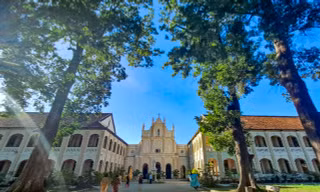 Ngắm hàng cây sao cổ thụ cùng nét đẹp cổ kính Tiểu chủng viện Làng Sông