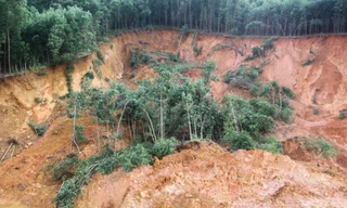 Mưa lớn gây sạt lở nghiêm trọng tại huyện miền núi ở Bình Định