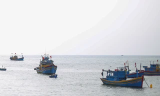 Hai ngư dân Bình Định rơi xuống biển mất tích