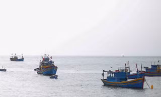 Hai ngư dân Bình Định rơi xuống biển mất tích