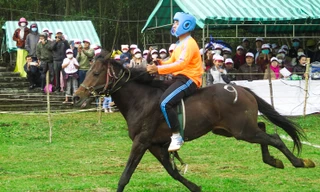 Lễ hội đua ngựa có một không hai ở Phú Yên