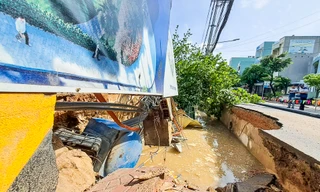 Nguyên nhân đường ở Quy Nhơn bất ngờ sụt lún 'nuốt chửng' cây xanh, trụ điện