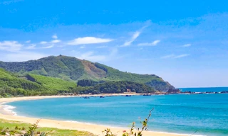 Bình Định kiến nghị bổ sung khu bến cảng Phù Mỹ vào quy hoạch