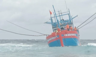 Tàu cá Bình Định bị sóng lớn đánh dạt vào bãi cạn, 4 ngư dân cầu cứu khẩn