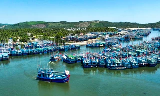 Hai ngư dân Bình Định rơi xuống biển tử vong