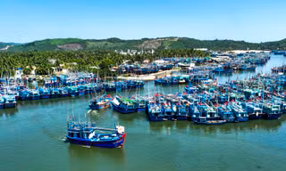 Hai ngư dân Bình Định rơi xuống biển tử vong