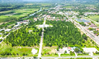 Bình Định đưa vụ nguyên Bí thư Huyện ủy thâu tóm đất rừng vào diện theo dõi