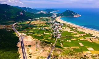 Bình Định lên kế hoạch đấu giá hơn 2.600 lô đất 