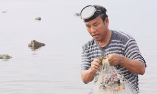 'Sói biển' lại ra Hoàng Sa