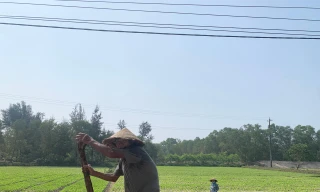 Đất nông thôn sốt sình sịch khi dự án đang 'trên giấy'