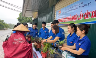 Tuổi trẻ Hà Tĩnh dọn đường bờ biển, đổi rác nhựa lấy cây xanh