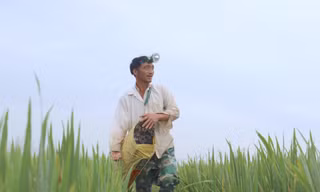 'Vua săn lươn đồng' chỉ bằng một tay