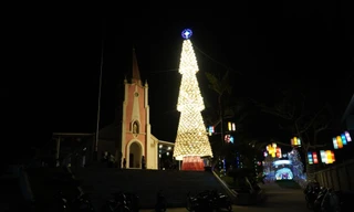 Cây thông Noel làm từ 1.300 nón lá lung linh huyền ảo trong đêm