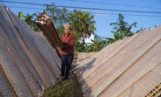 Tất bật ngày đêm làm bánh đa nem vụ Tết, kiếm tiền triệu mỗi ngày