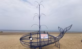 Độc đáo cá voi đựng rác thải nhựa trên bãi biển