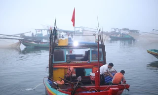 Sốt ruột dự án hậu cần nghề cá 400 tỷ có tốc độ... rùa bò