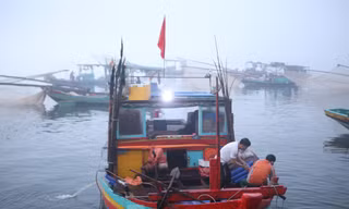 Sốt ruột dự án hậu cần nghề cá 400 tỷ có tốc độ... rùa bò
