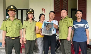 Phát hiện động vật quý hiếm trong vườn nhà dân