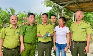 Động vật quý hiếm bất ngờ xuất hiện trong vườn nhà dân