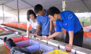 Biến ruộng hoang thành hồ nuôi ốc, nam thanh niên thu nhập nửa tỷ đồng/năm