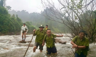 Hơn 30 năm đi tìm dấu chân loài thú bí ẩn 