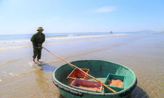 Niềm vui sau khi dỡ bỏ phong tỏa, ngư dân ra khơi 'trúng đậm' ruốc biển