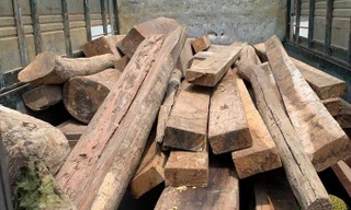 Bắt ô tô vận chuyển số lượng lớn gỗ hương lậu