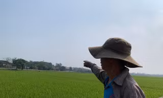 Đất nông thôn có giá khởi điểm 'trên trời': Ồ ạt bán khi chưa xong hạ tầng