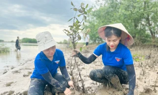 Thanh niên trồng cây hưởng ứng ngày môi trường
