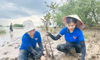 Thanh niên trồng cây hưởng ứng ngày môi trường