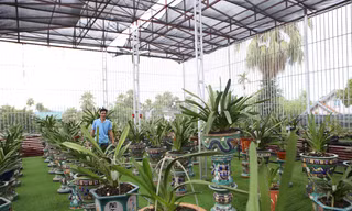 Mê mẩn vườn lan bạc tỷ của chàng kỹ sư tin học bỏ phố về quê lập nghiệp