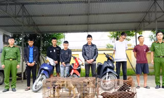 Bắt băng trộm chó liên huyện ở Hà Tĩnh