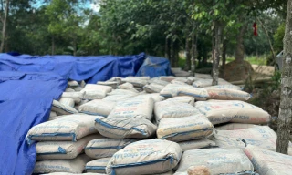Hàng chục tấn xi măng ‘hóa đá’, người dân xót xa vì lãng phí