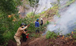 Phát hiện thi thể người đàn ông trong rừng keo bị cháy