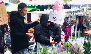 Đào, quất bán như cho chiều 29 Tết