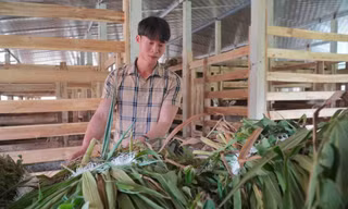 Về quê lập nghiệp, thủ lĩnh Đoàn xã mở trại nuôi hươu sao, thu 3 tỷ mỗi năm