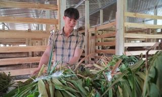 Về quê lập nghiệp, thủ lĩnh Đoàn xã mở trại nuôi hươu sao, thu 3 tỷ mỗi năm